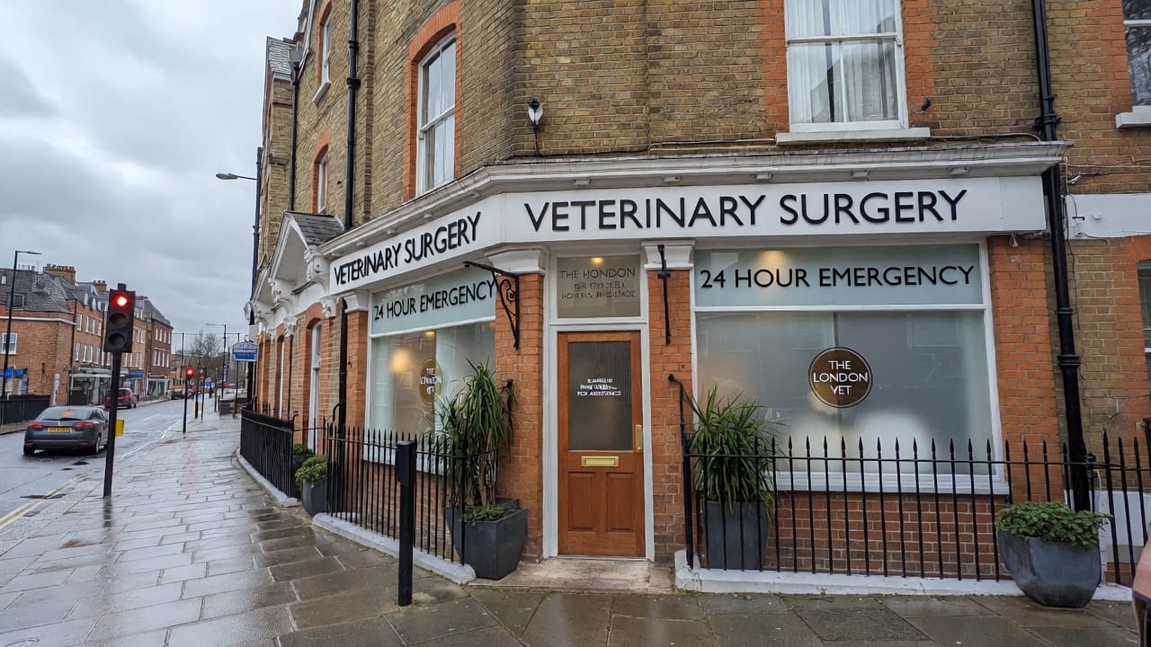 Vet practice cleaning service London